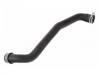 Radiator Hose:251 501 13 82